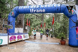 Trail des cèdres 2024